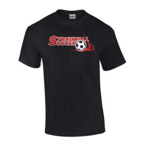 G200 Gildan Ultra Cotton T-Shirt - Black